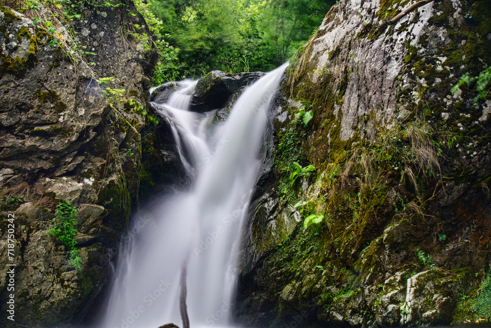 waterfall in the forest