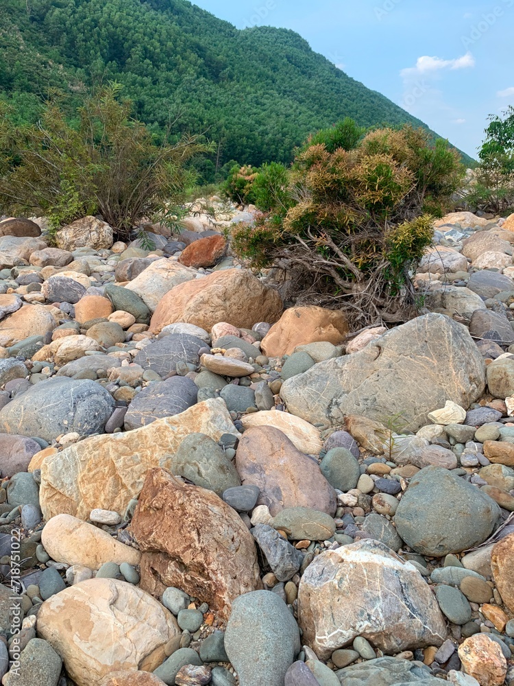 rocks on the bank of the stream 