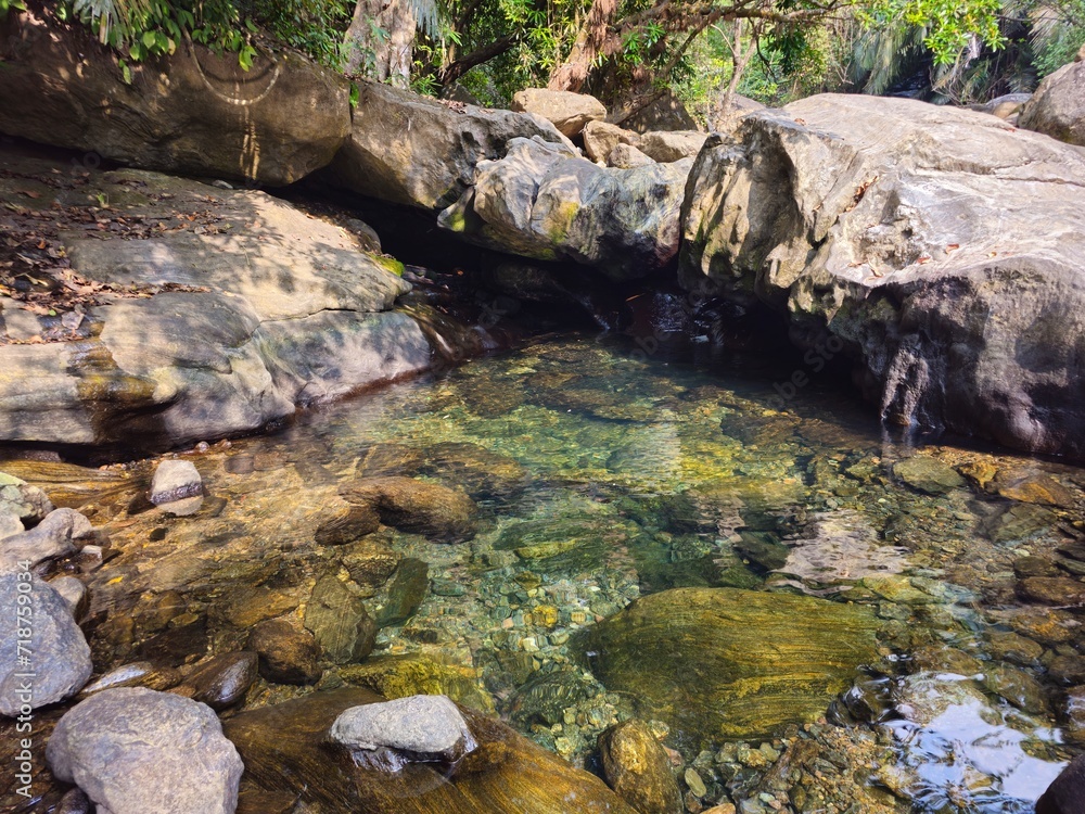 Crystal clear pond in the forest in Palakkad,Kerala,India. 