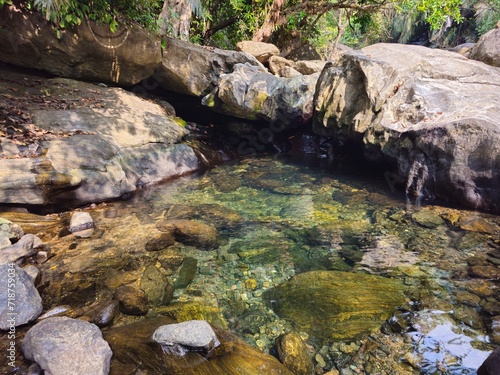 Crystal clear pond in the forest in Palakkad Kerala India. 