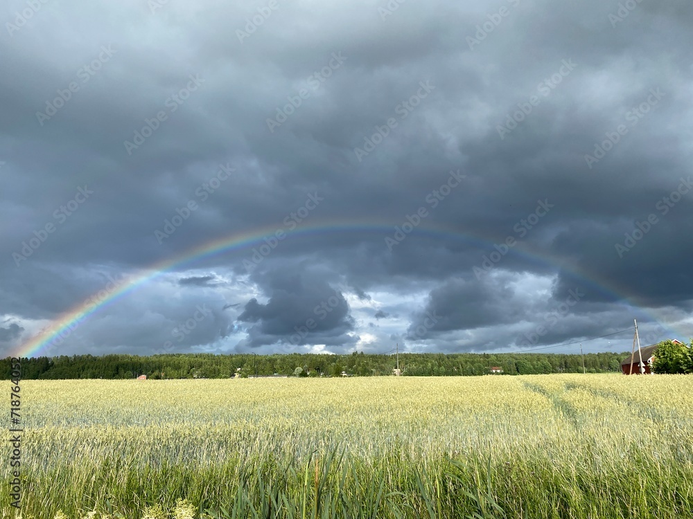 landscape with field and rainbow landscape with field and rainbow