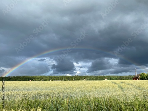 landscape with field and rainbow