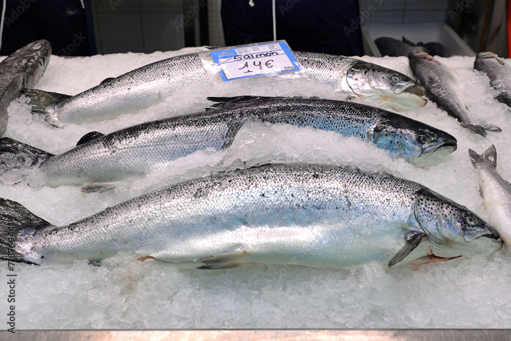 Frische Speisefische auf dem Fischmarkt in Danzig