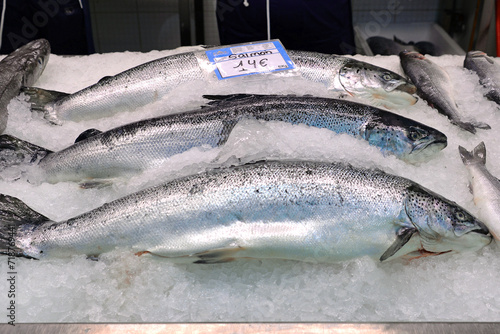 Frische Speisefische auf dem Fischmarkt in Danzig photo