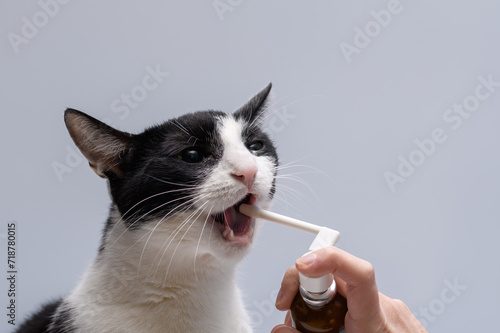 Lekarstwo w sprayu dla kota, psikać płynem w koci otwarty pyszczek