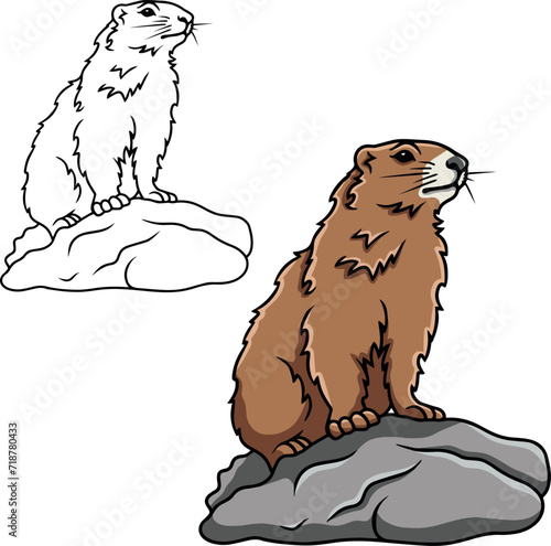 Groundhog vector