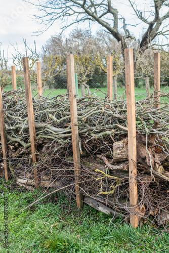 Benjeshecke aus Totholz im Garten selber bauen