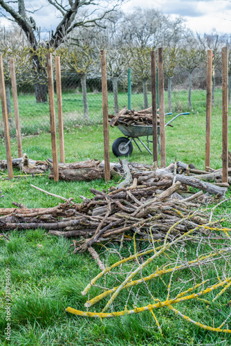 Benjeshecke aus Totholz im Garten selber bauen