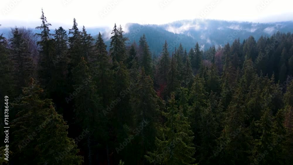 flying drone over the cloudy fog haze of the Black Forest in southern Germany. Black forest View from Mount Blauen to Belchen. flying drone over the cloudy fog haze of the Black Forest in southern Germany. Black forest View from Mount Blauen to Belchen.
