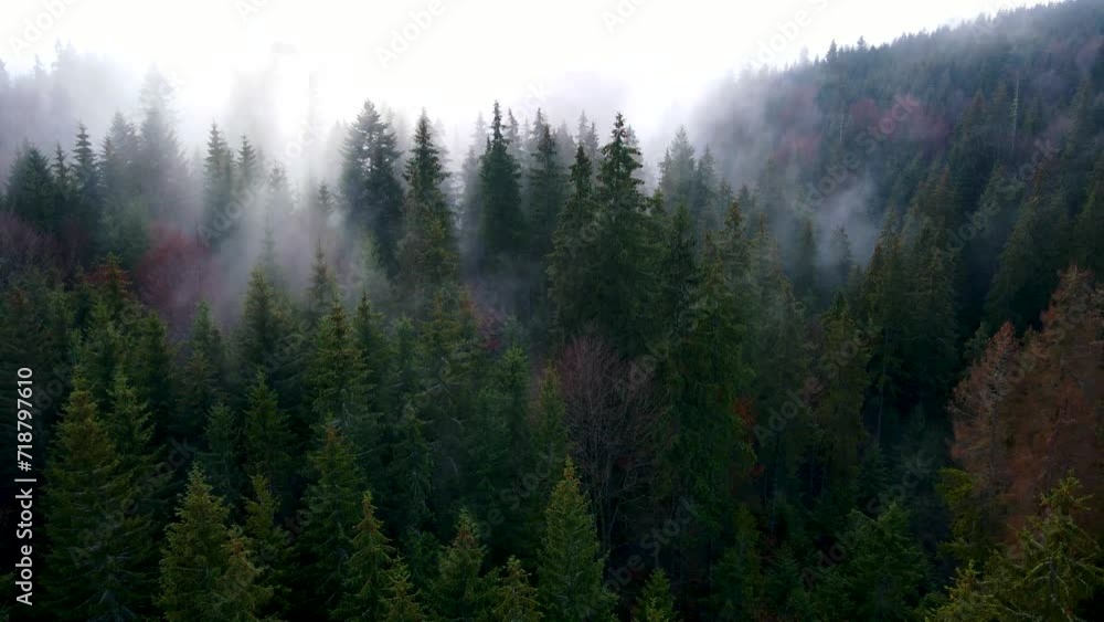flying drone over the cloudy fog haze of the Black Forest in southern Germany. Black forest View from Mount Blauen to Belchen. flying drone over the cloudy fog haze of the Black Forest in southern Germany. Black forest View from Mount Blauen to Belchen.