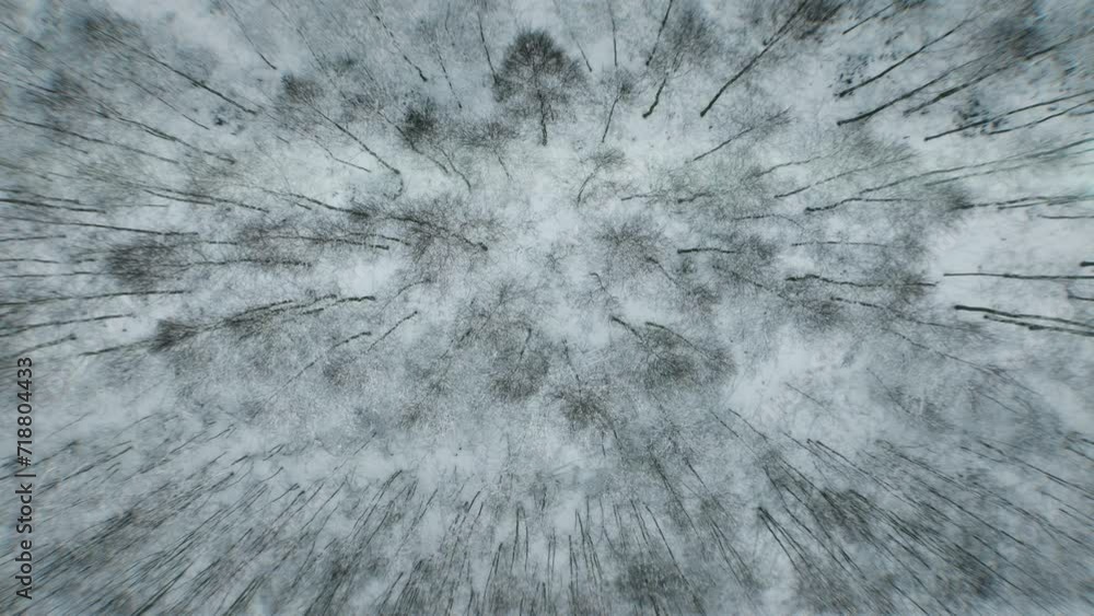 Aerial view of forest landscape during frosty winter near Białystok, Hajnówka, and Białowieża with mist. Aerial view of forest landscape during frosty winter near Białystok, Hajnówka, and Białowieża with mist.