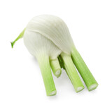 Fresh raw fennel bulb isolated on white