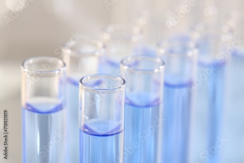 Laboratory analysis. Many glass test tubes with light blue liquid on blurred background, closeup