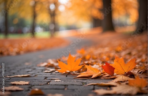 Maple leaves on the ground, autumn natural background