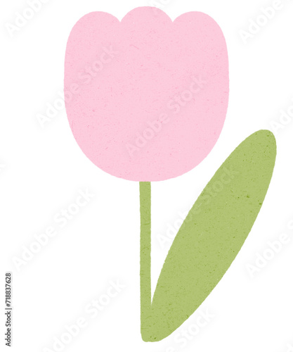 pink tulip flower. Birthday, mother's or valentine's day gift.