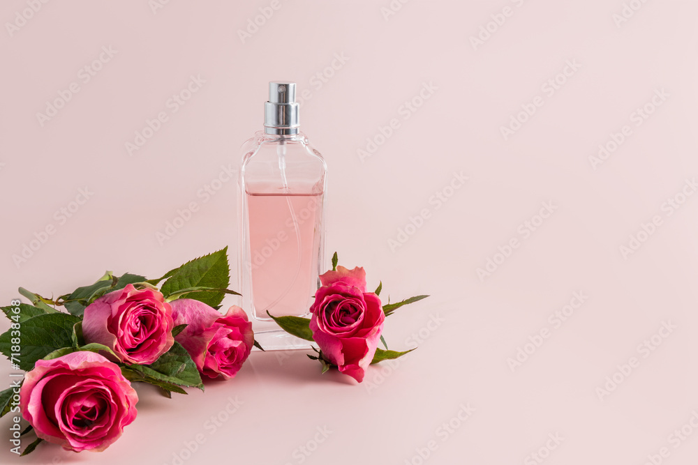 Stylish bottle of women's perfume on a pastel background among the buds of a pink tea rose. A copy space. Perfume and beauty concept Stylish bottle of women's perfume on a pastel background among the buds of a pink tea rose. A copy space. Perfume and beauty concept