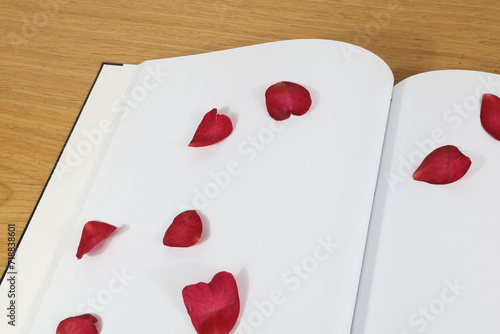 Winter rose petals resting on blank white diary page.