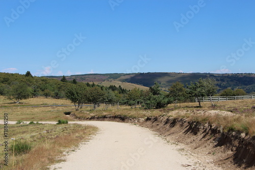 Chemin dans les hautes chaumes