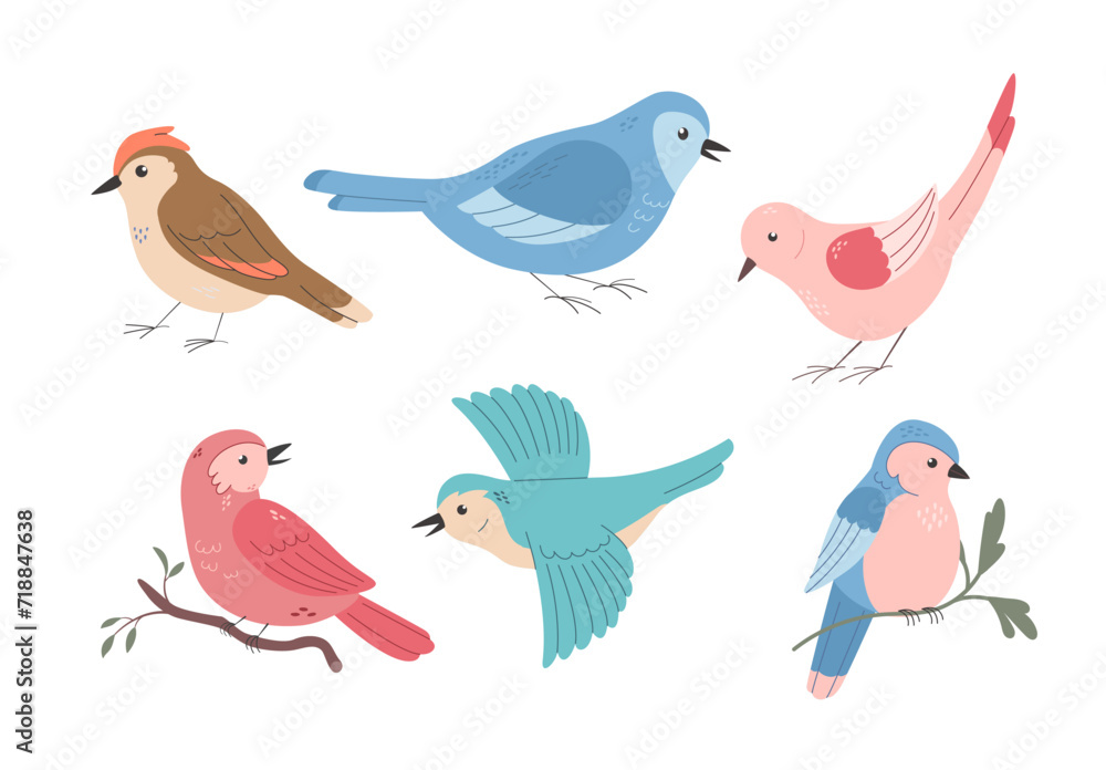 Set of different cute spring birds on white background. Cartoon vector illustration. Set of different cute spring birds on white background. Cartoon vector illustration.