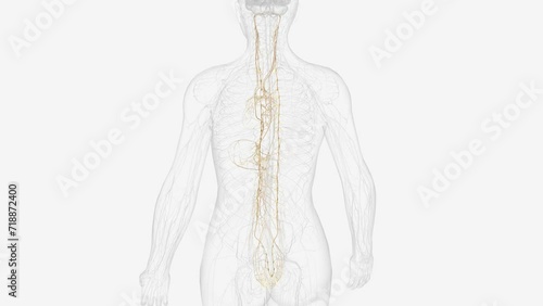 The autonomic nervous system is a component of the peripheral nervous system that regulates involuntary physiologic processes including heart rate .