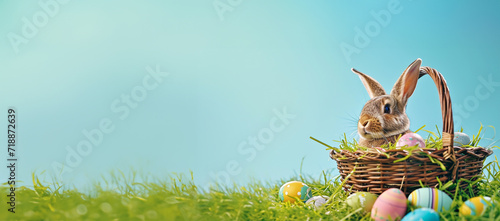 Easter bunny with basket and colorful eggs in green fresh grass. Colorful bright blue sky.Easter egg hunt greeting card. 3d Illustration of bunny collecting Easter eggs grassland on blue background 