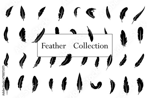 Set of black bird  feather in a flat style. Black quill feather silhouette. Plumelet collection. Vector icon logo isolated on white background