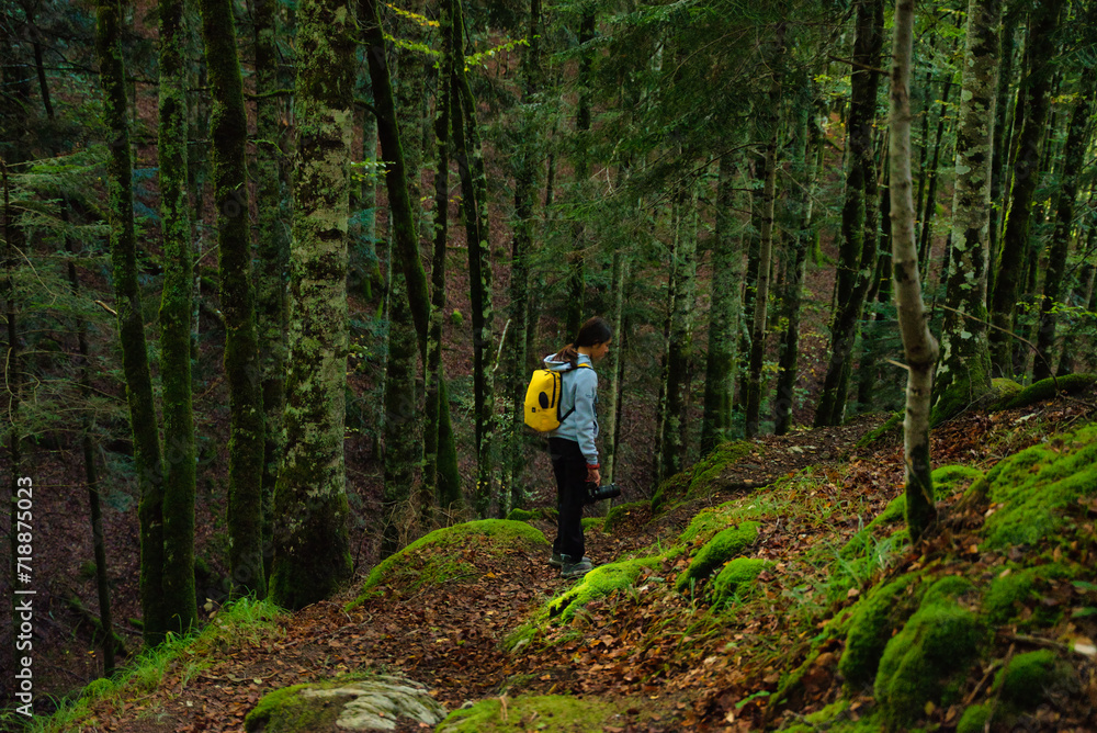 Fototapeta premium Girl hiking in the forest of Selva Irati, in the north of Navarra, Spain in the Pierineos Atlanticos. Early autumn. Leafy beech forest