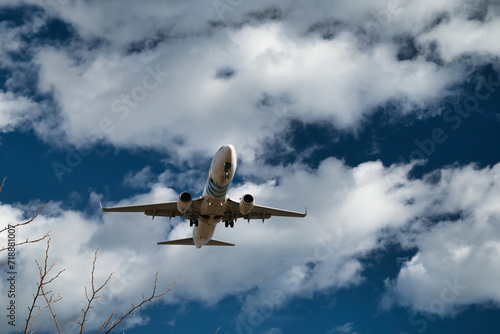 Plane flying arriving at the airport, image with vegetation silhouette 