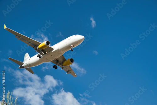 Plane flying arriving at the airport  image with vegetation silhouette 