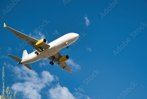 Plane flying arriving at the airport, image with vegetation silhouette 