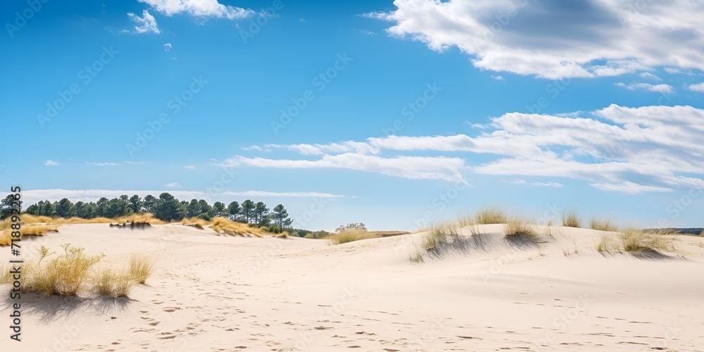 Sand dunes landscape contributing to a healthy eco system , Sand dunes landscape, healthy eco system, desert Sand dunes landscape contributing to a healthy eco system , Sand dunes landscape, healthy eco system, desert
