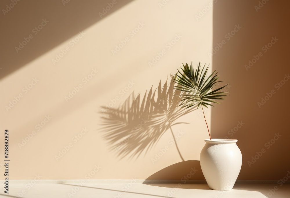 a white vase with palm tree outdoors near wall, in the style of light brown and light beige, minimalist backgrounds a white vase with palm tree outdoors near wall, in the style of light brown and light beige, minimalist backgrounds