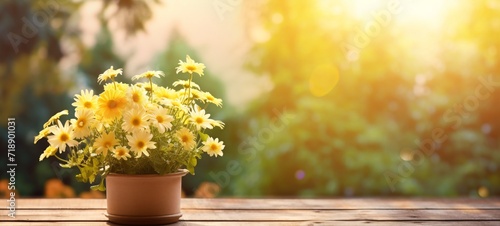 a yellow pot on the table with daisy flowers in it. copy space for text or brand