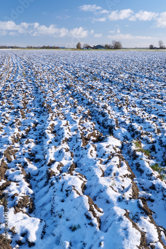 A plowed agricultural field covered with snow in winter under a blue sky with clouds.