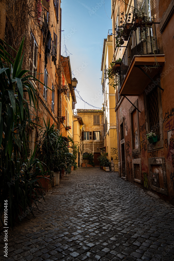 Fototapeta premium Picturesque Cobblestone Street with Rustic Buildings