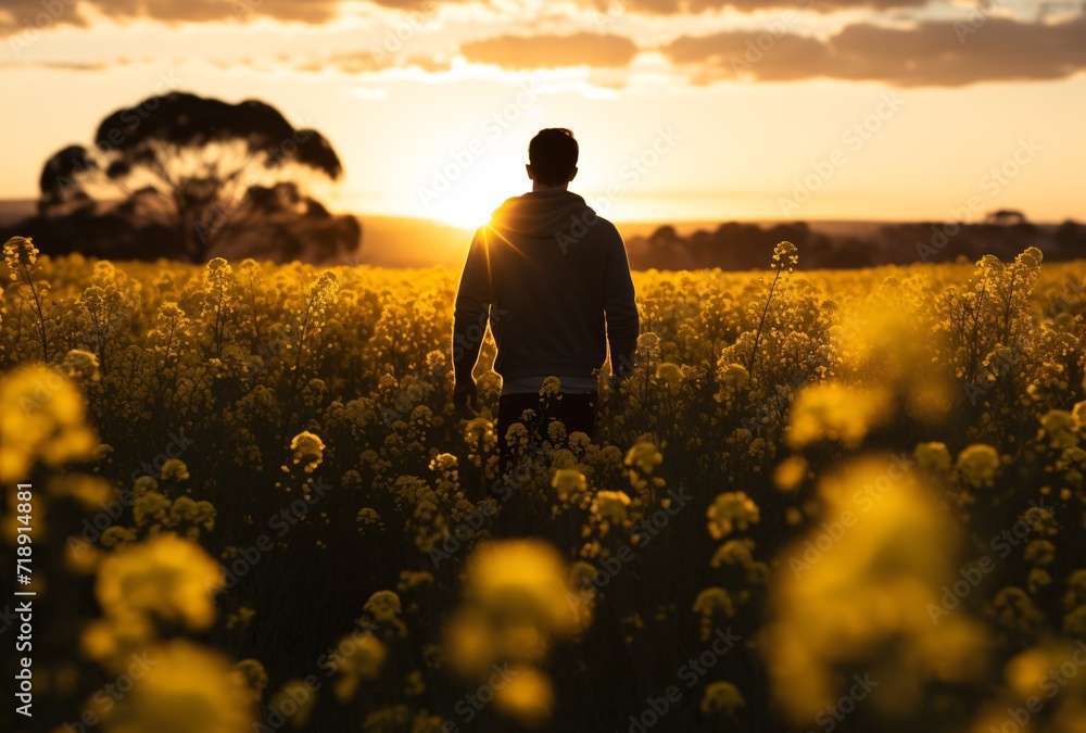Fototapeta premium man walking through a yellow patch of flowers at sunset