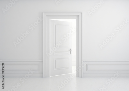 Modern white door. White wall with free space. Minimalist bright interior