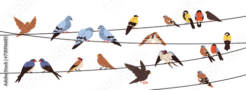 Birds sitting on wires, perching on electric lines, strings. Spring feathered animals group landing. Different species resting on cables. Flat graphic vector illustration isolated on white background