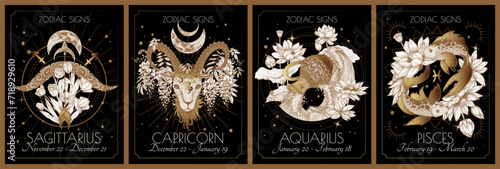Vector set of the 4 second zodiac signs in flowers. Gold on a black background. Sagittarius, Capricorn, Aquarius, Pisces photo