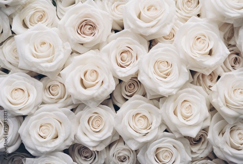 white roses in a large circle
