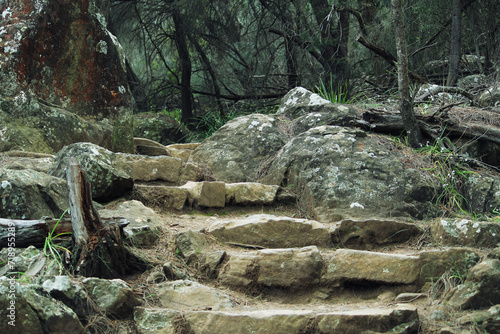 Rocky steps on forest walking trail