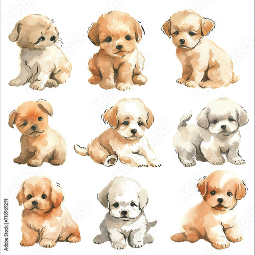 Vector hand drawn puppy collection