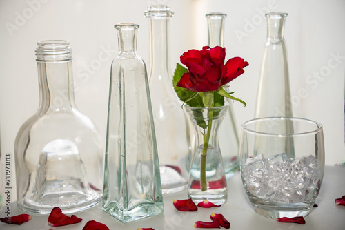 Single red rose with green leaf in glass vase. Surrounded by decorative glass vases of various designs and a glass with ice cubes. Scattered red rose petals on a white background. White background