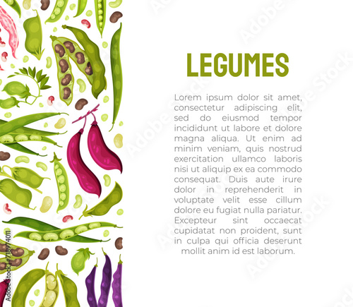 Legume Plant Banner Design with Pod and Bean Vector Template
