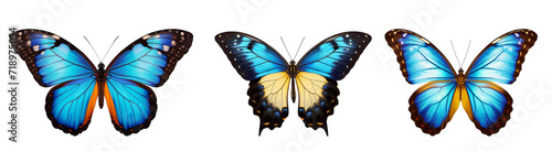 butterfly isolated on transparent background. png file © PngXpress