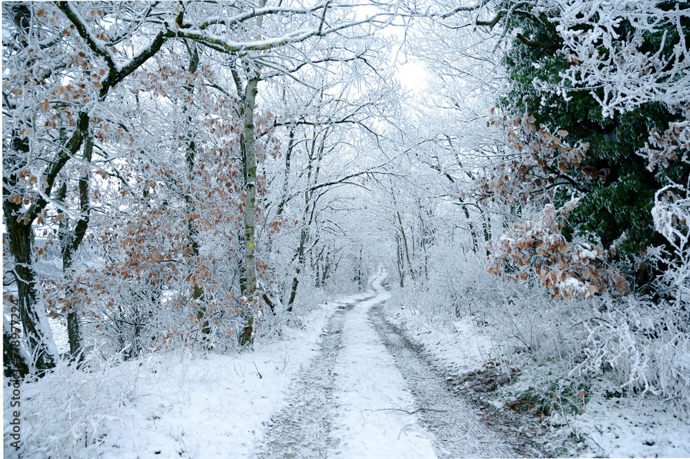 la neige em Valsonne