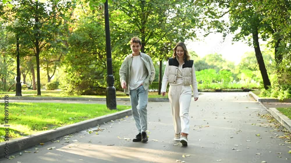 A couple walks along the park alley on an autumn day. Summer walk A couple walks along the park alley on an autumn day. Summer walk