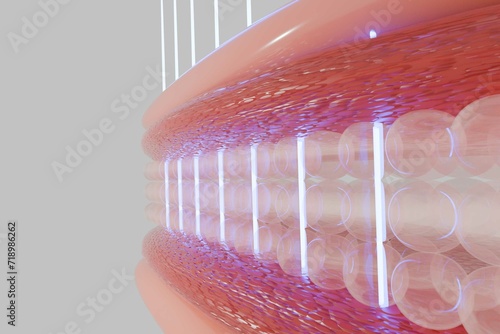 HIFU laser treatment shot laser deep to SMAS to enhancing the radiance, firmness and suppleness of skin. 3D rendering.