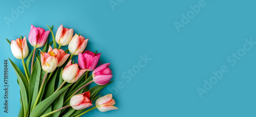 bouquet de tulipes coupées sur un fond bleu photo