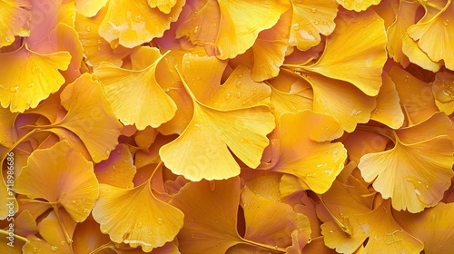 Natural leaf texture backdrop with ginkgo leaves of yellow in top view, space, Generative AI.